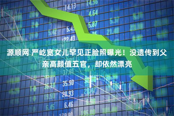 源顺网 严屹宽女儿罕见正脸照曝光！没遗传到父亲高颜值五官，却依然漂亮