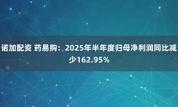 诺加配资 药易购：2025年半年度归母净利润同比减少162.95%