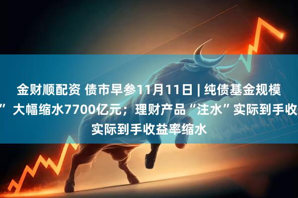 金财顺配资 债市早参11月11日 | 纯债基金规模遇“刹车” 大幅缩水7700亿元；理财产品“注水”实际到手收益率缩水